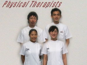 physical therapists